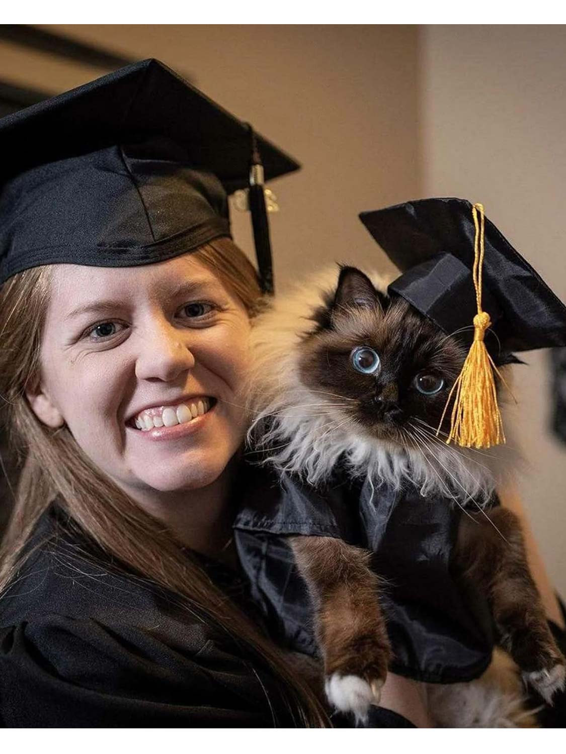 Pet Graduation Black Cap and Gown Costume Set with Gold Tassel - Various Sizes& Colors Available