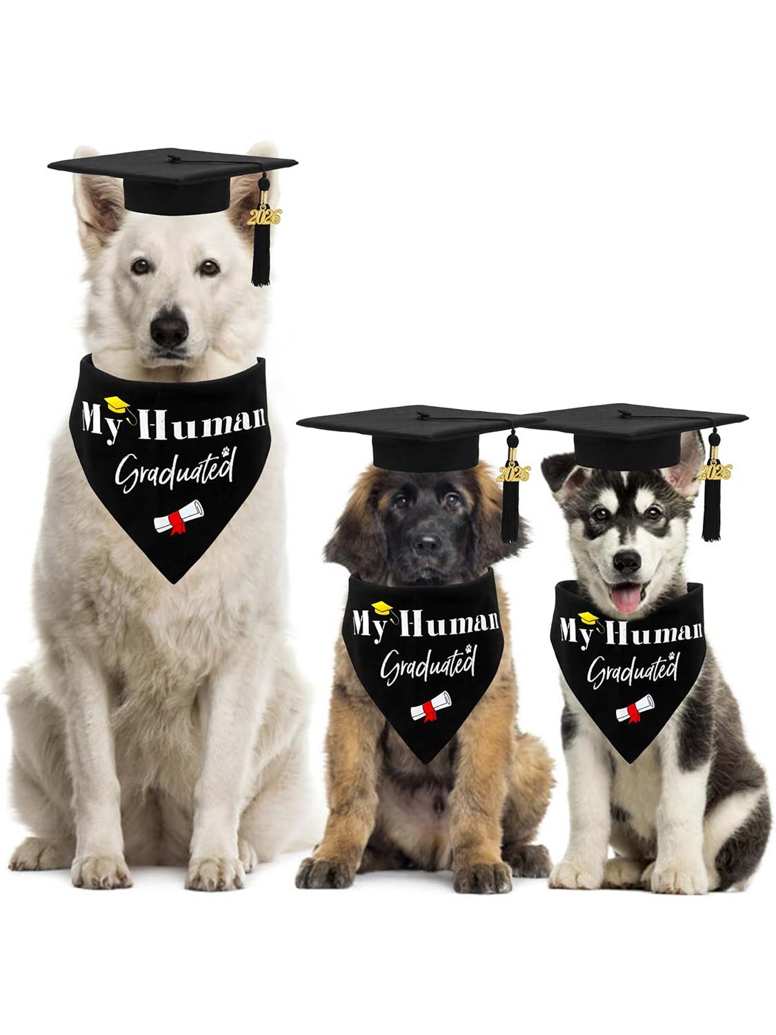 2026 Dog Graduation Cap and Bandana Set with “My Human Graduated” - 2 Colors Available