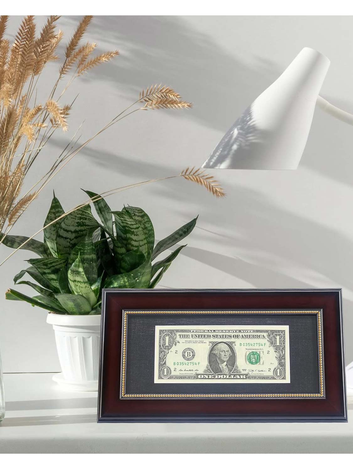 4*9 Dollar Bill Frame with Black Mat or Display Picture without Mat - 4 Styles Available