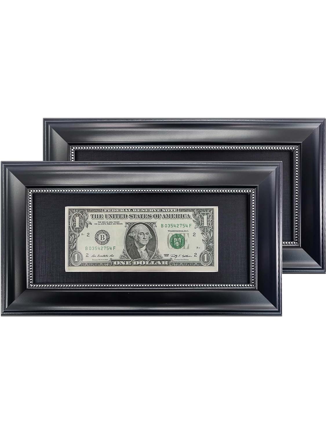 4*9 Dollar Bill Frame with Black Mat or Display Picture without Mat - 4 Styles Available