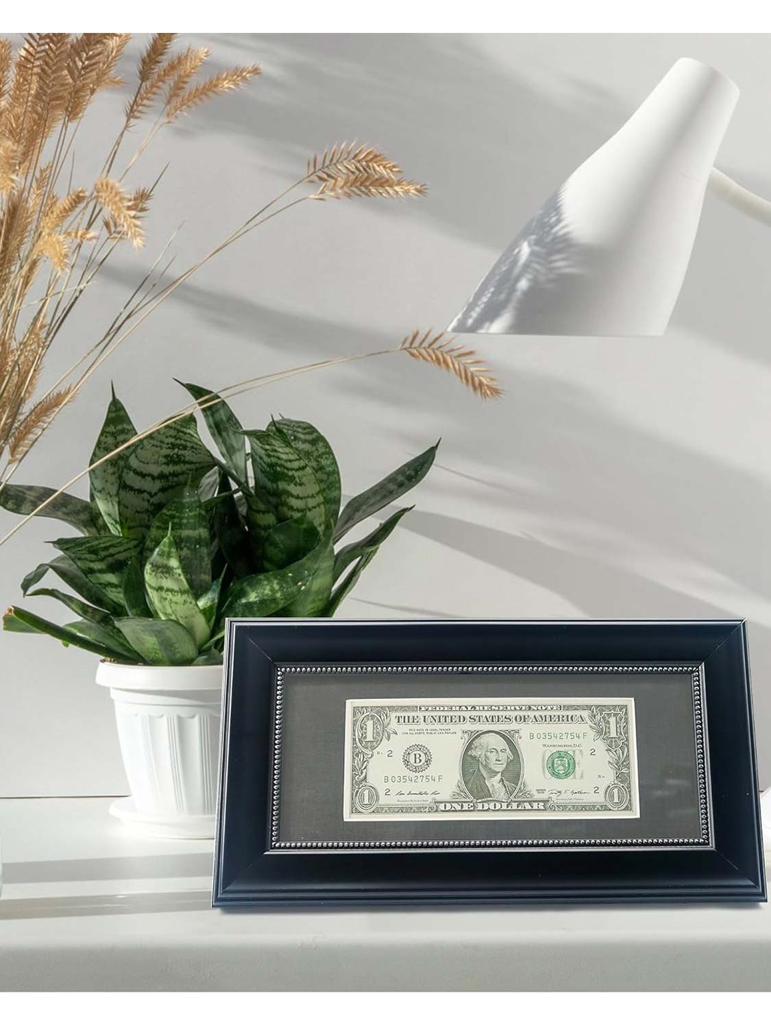 4*9 Dollar Bill Frame with Black Mat or Display Picture without Mat - 4 Styles Available