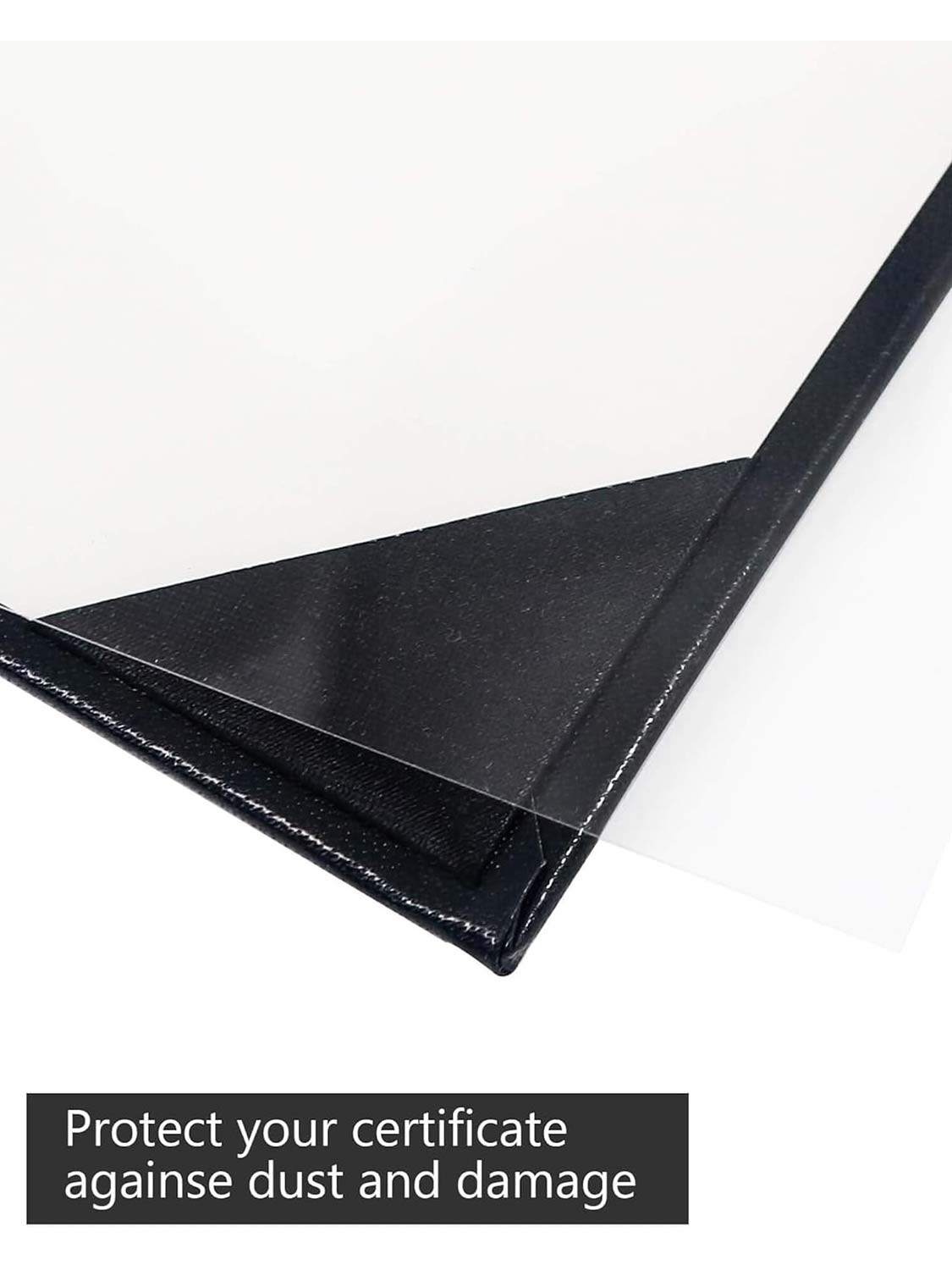 Padded Awards Certificates Cover Protector 8.5 x 11 for Students Teachers Employees - 4 Styles Available