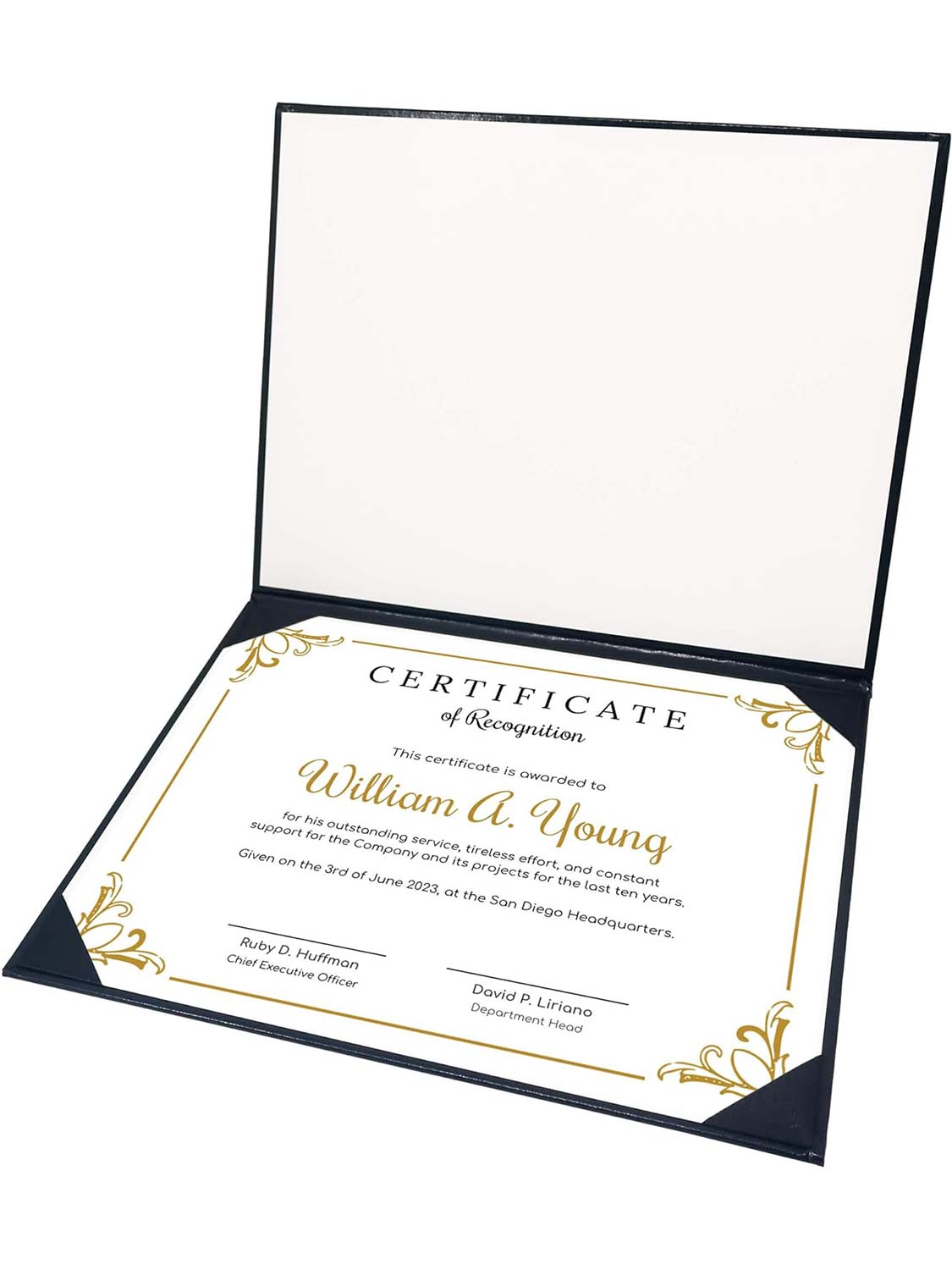 Padded Awards Certificates Cover Protector 8.5 x 11 for Students Teachers Employees - 4 Styles Available