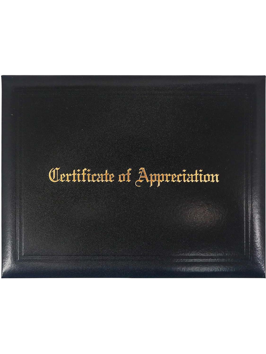 Padded Awards Certificates Cover Protector 8.5 x 11 for Students Teachers Employees - 4 Styles Available