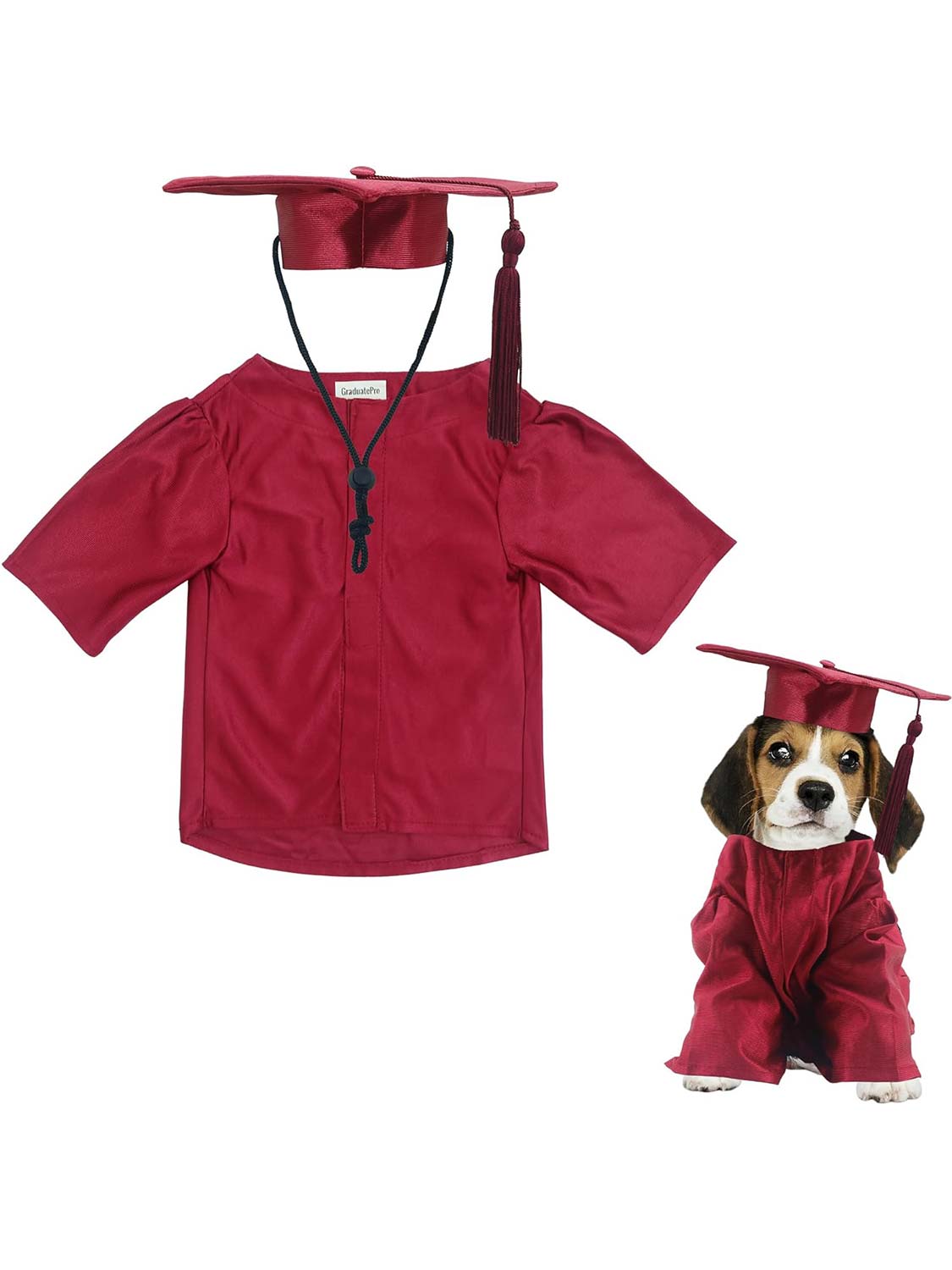 Pet Graduation Black Cap and Gown Costume Set with Gold Tassel - Various Sizes& Colors Available