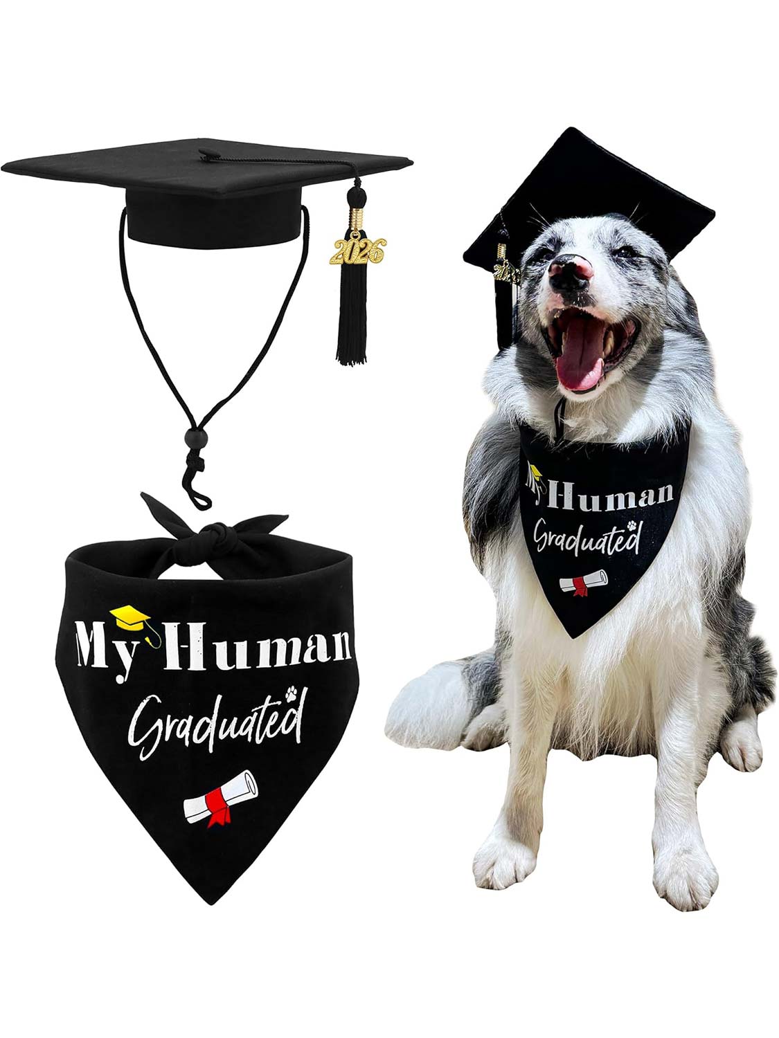 2026 Dog Graduation Cap and Bandana Set with “My Human Graduated” - 2 Colors Available