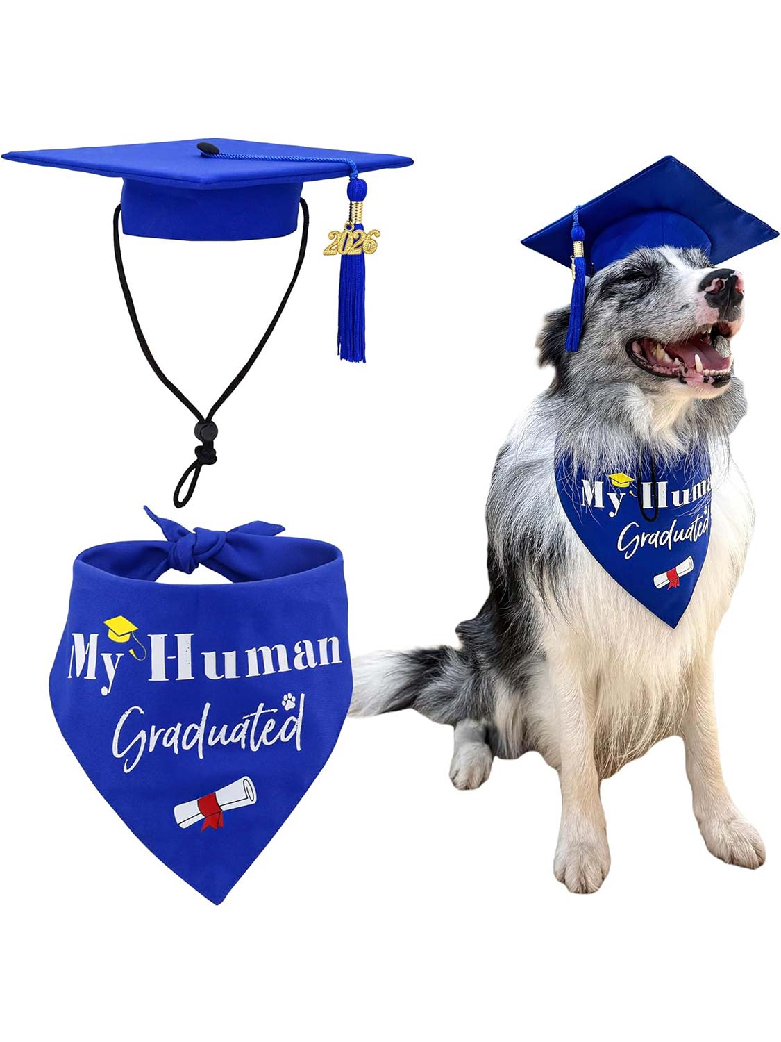 2026 Dog Graduation Cap and Bandana Set with “My Human Graduated” - 2 Colors Available
