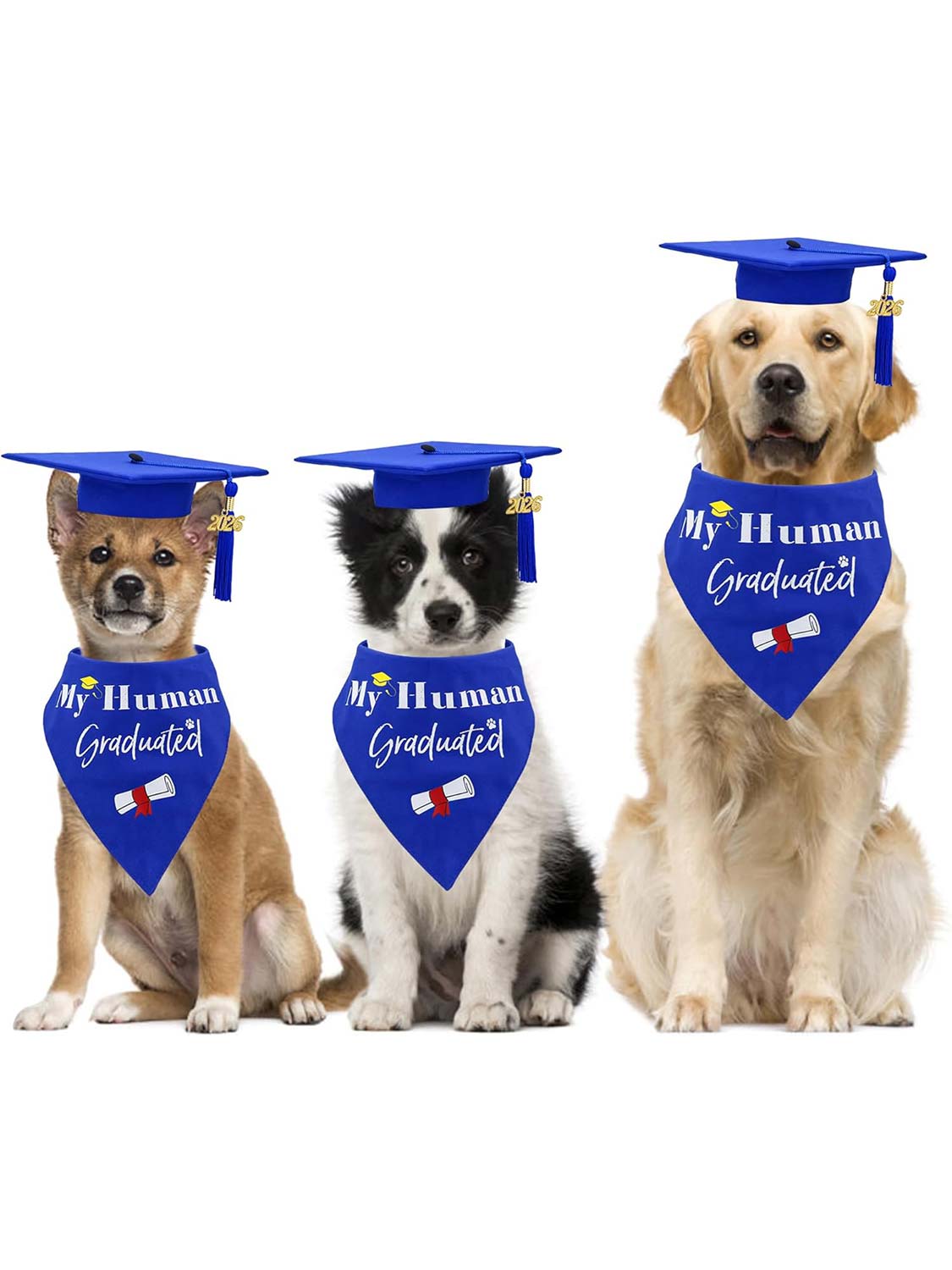 2026 Dog Graduation Cap and Bandana Set with “My Human Graduated” - 2 Colors Available