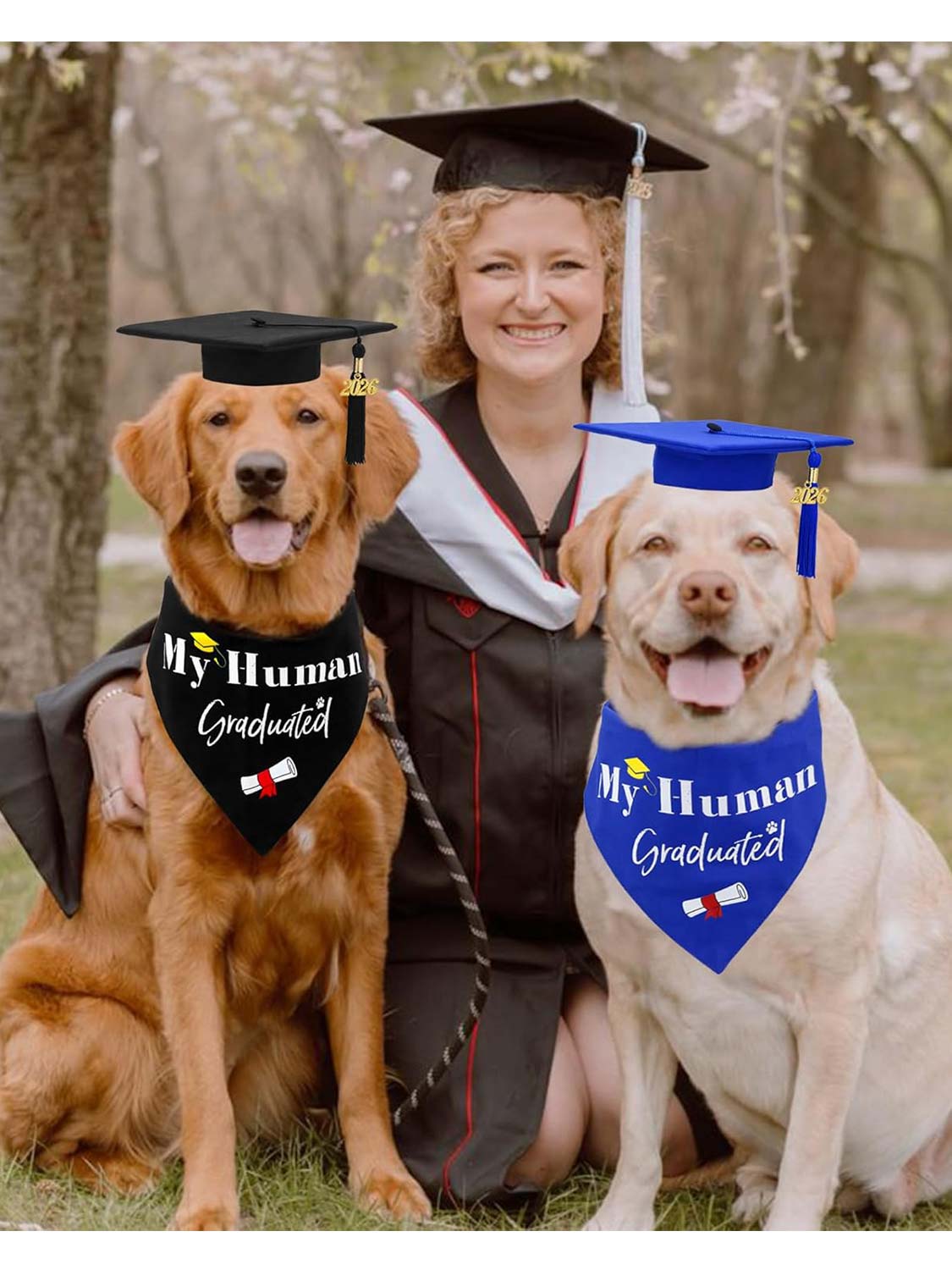 2026 Dog Graduation Cap and Bandana Set with “My Human Graduated” - 2 Colors Available