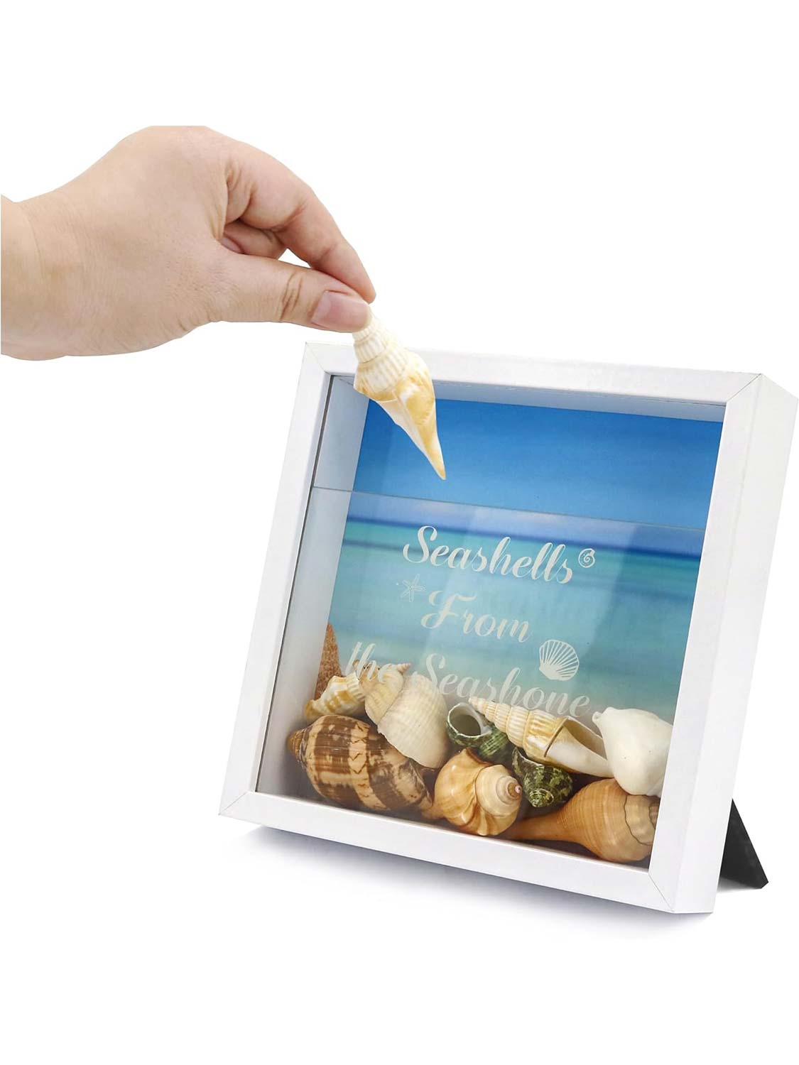 8*8 Travel Memory Shadow Box Ticket Stub Organizer with Slot - Various Colors & Styles Available