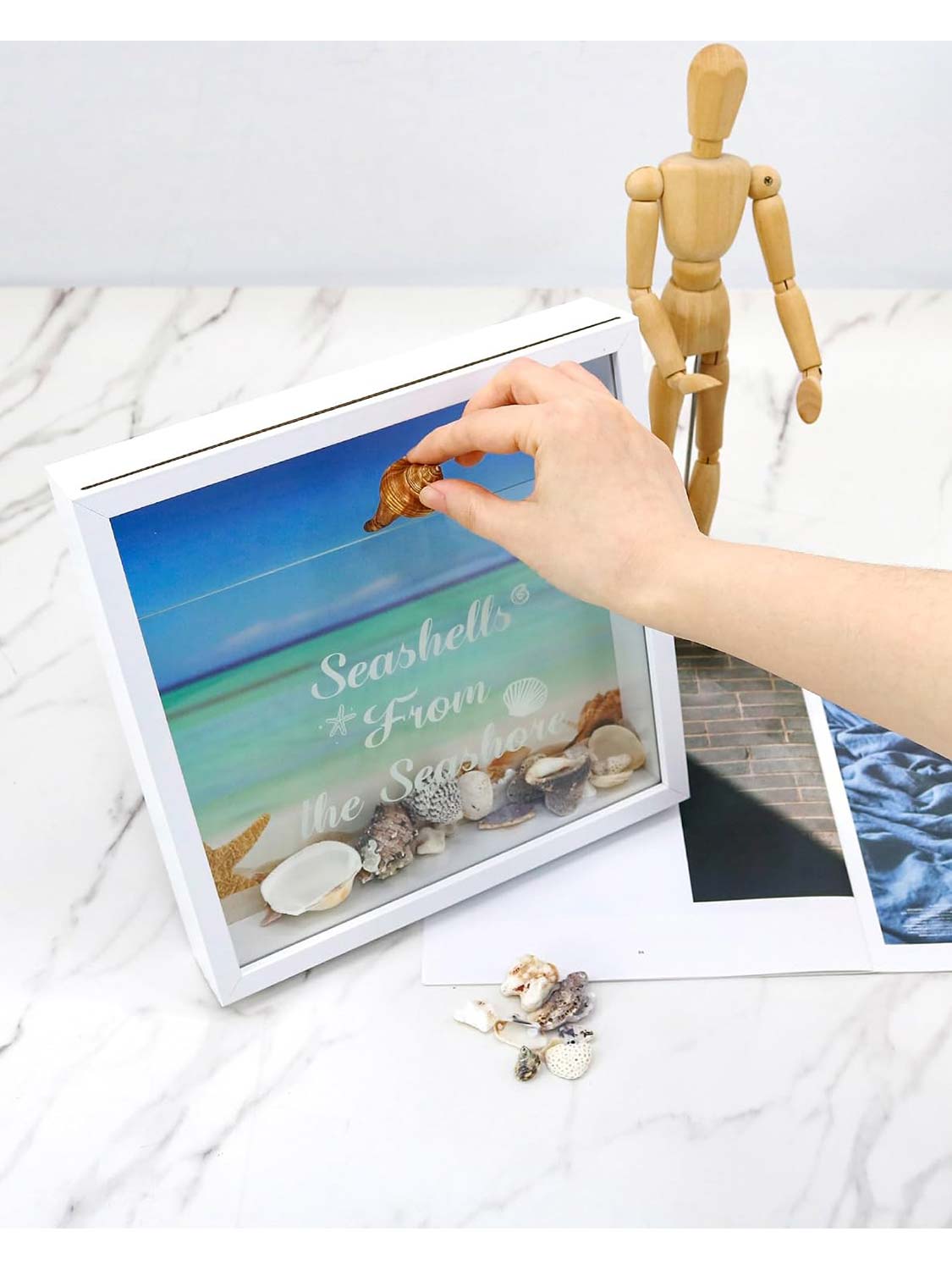 Seashell Display Box with Slot for Agates, Shark Teeth, Starfish & Trinkets - 2 Sizes Available