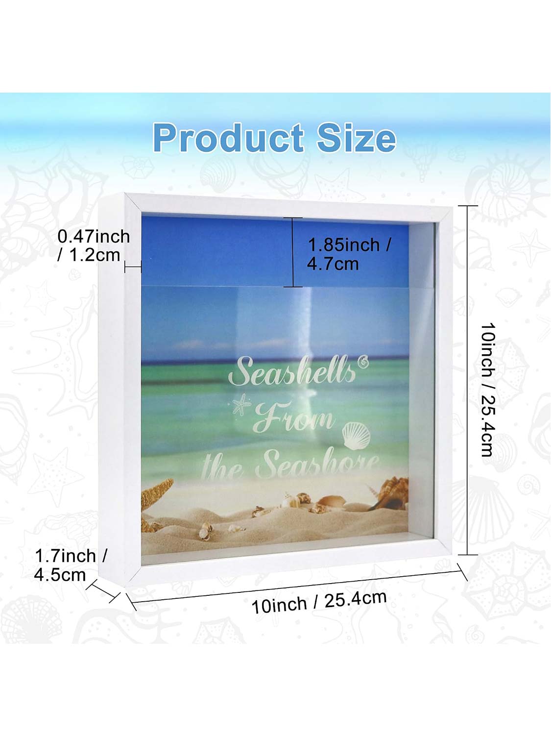 Seashell Display Box with Slot for Agates, Shark Teeth, Starfish & Trinkets - 2 Sizes Available