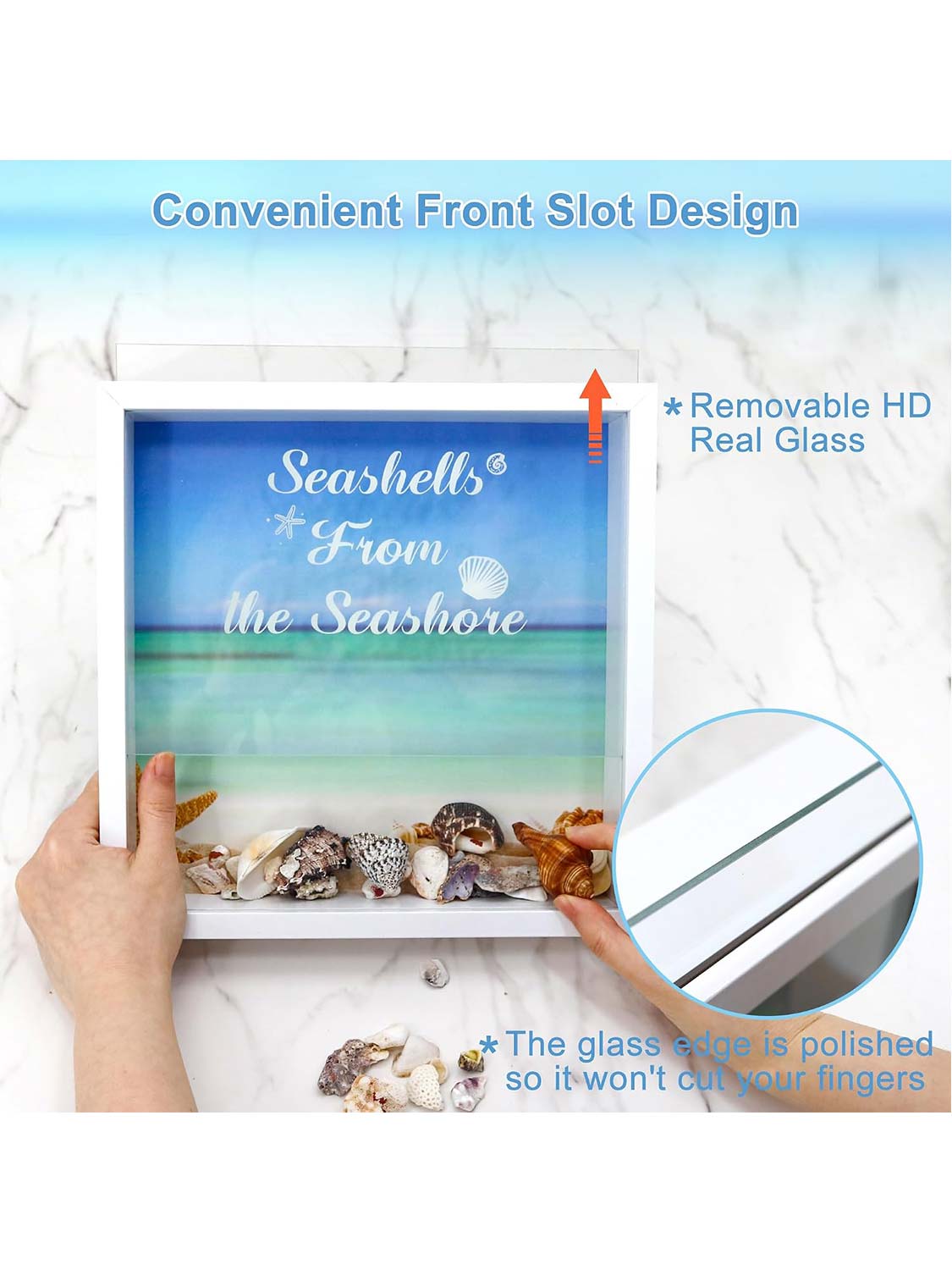 Seashell Display Box with Slot for Agates, Shark Teeth, Starfish & Trinkets - 2 Sizes Available