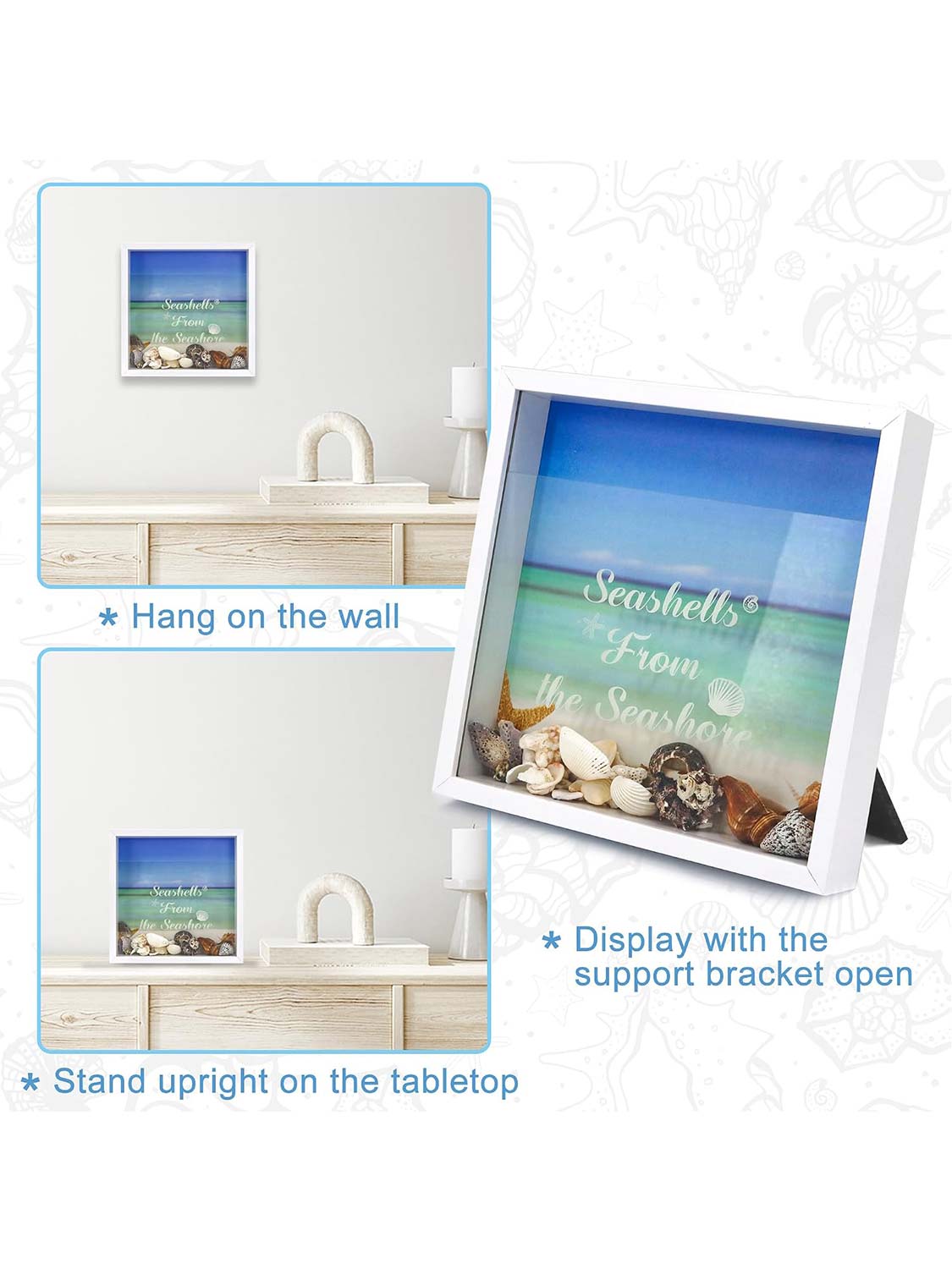 Seashell Display Box with Slot for Agates, Shark Teeth, Starfish & Trinkets - 2 Sizes Available