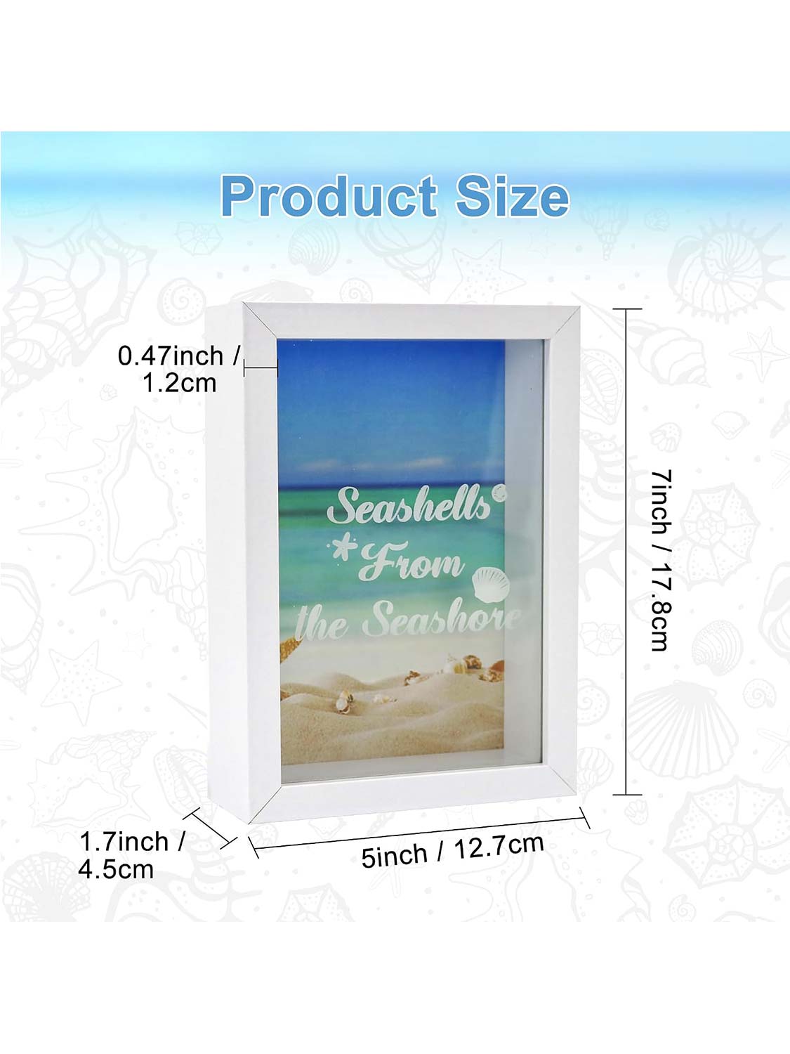 Seashell Display Box No Slot for Agates, Shark Teeth, Starfish & Trinkets - 2 Sizes Available