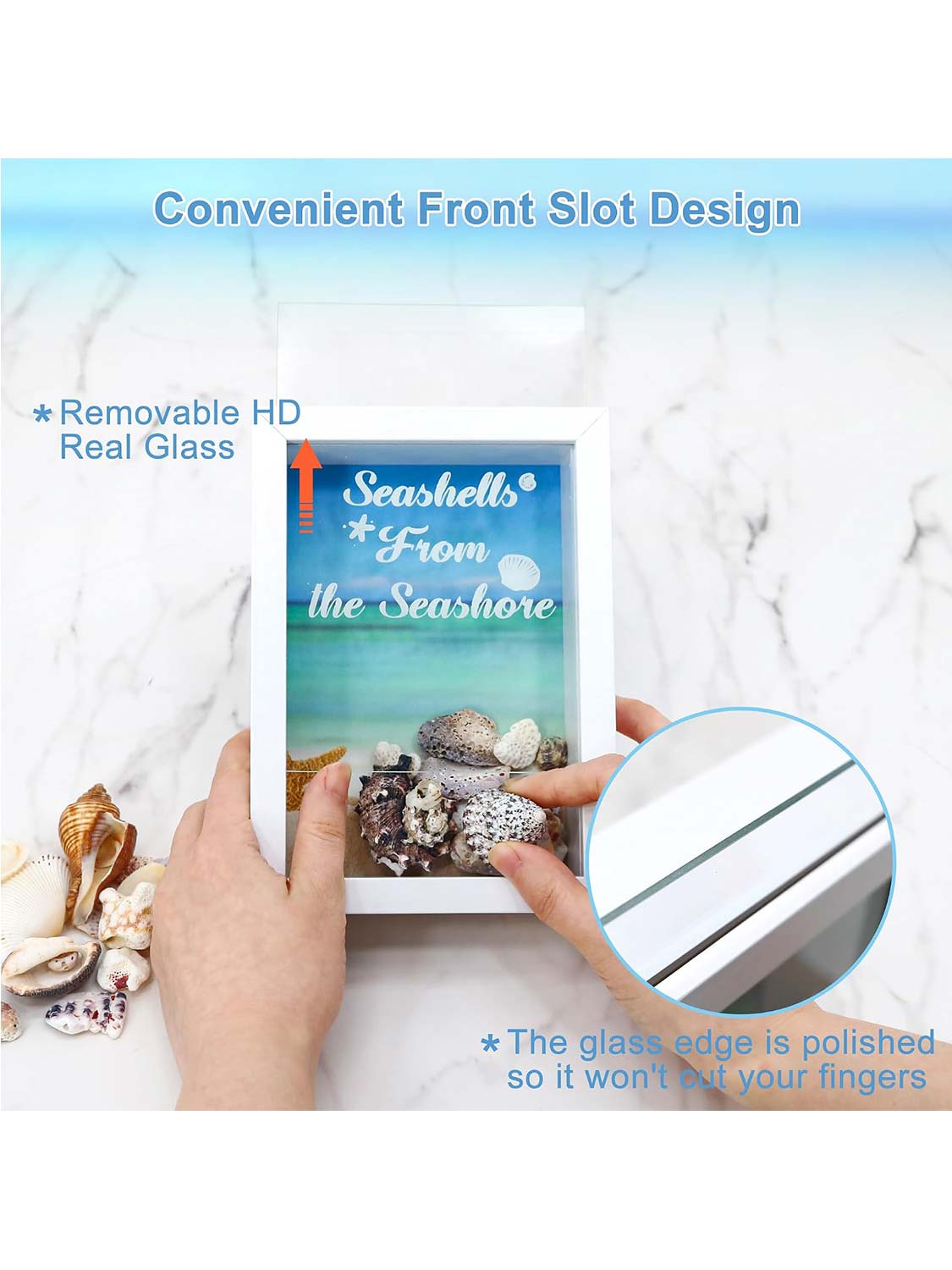 Seashell Display Box No Slot for Agates, Shark Teeth, Starfish & Trinkets - 2 Sizes Available