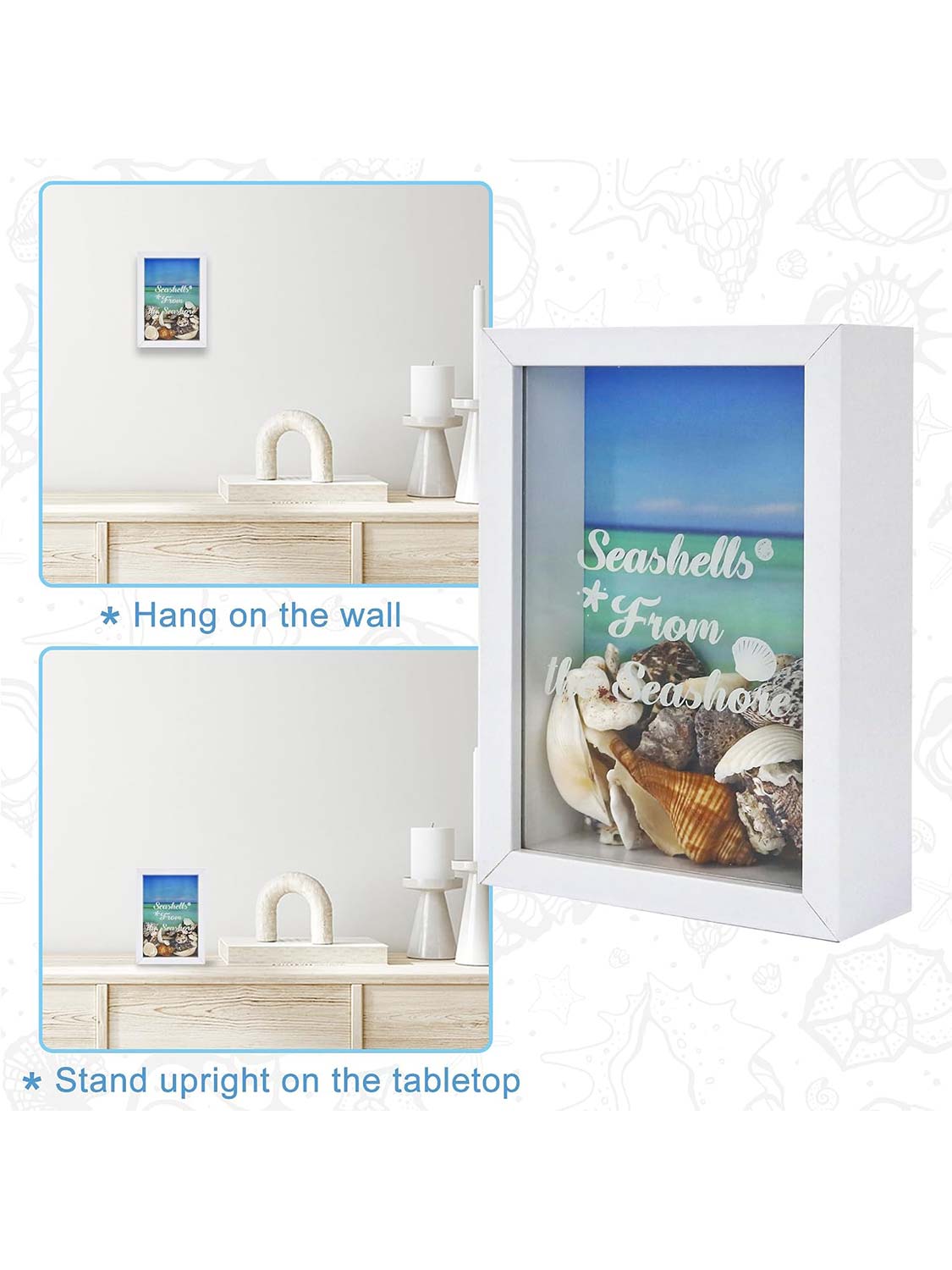 Seashell Display Box No Slot for Agates, Shark Teeth, Starfish & Trinkets - 2 Sizes Available