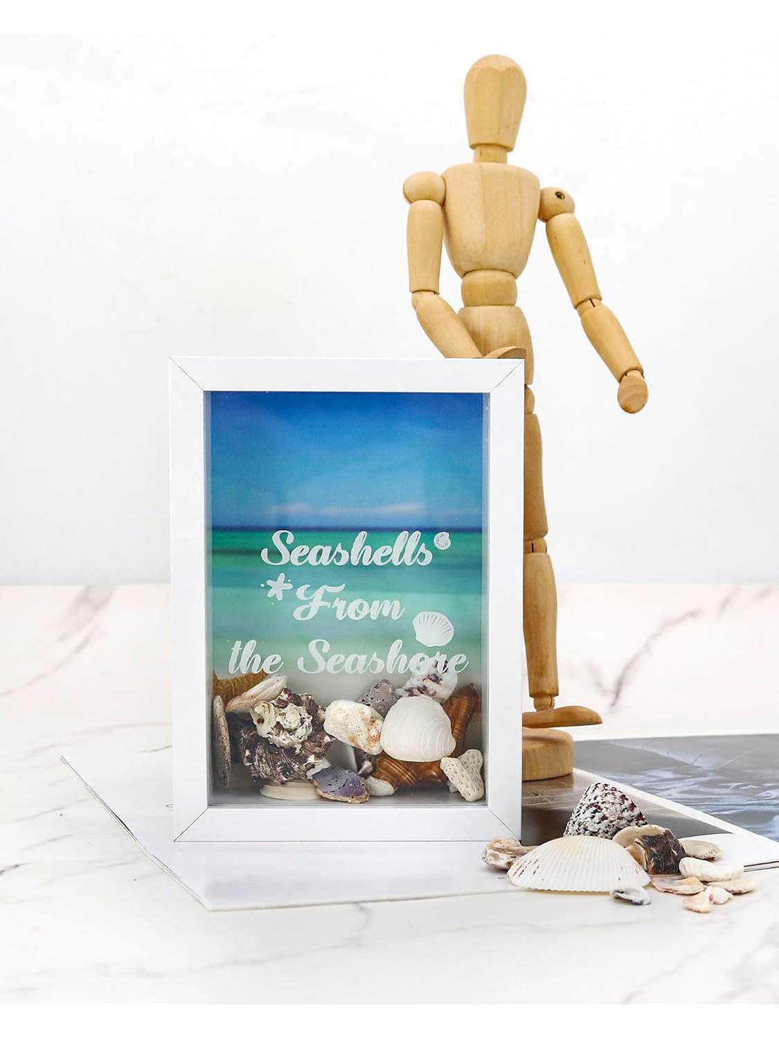 Seashell Display Box No Slot for Agates, Shark Teeth, Starfish & Trinkets - 2 Sizes Available