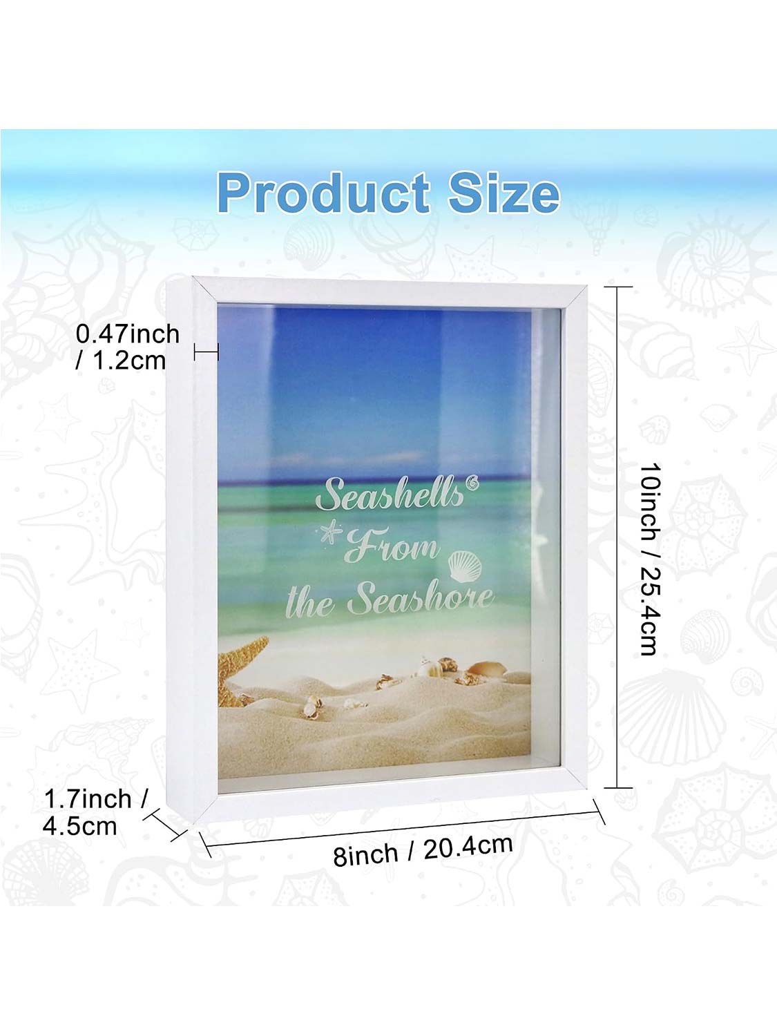 Seashell Display Box No Slot for Agates, Shark Teeth, Starfish & Trinkets - 2 Sizes Available