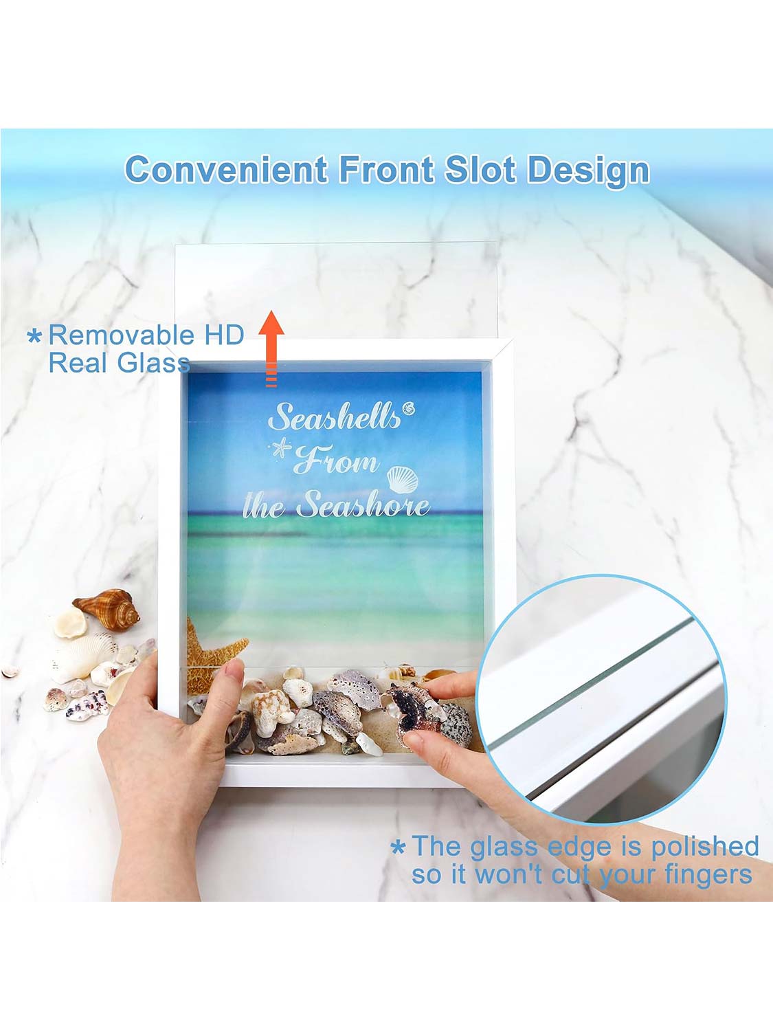 Seashell Display Box No Slot for Agates, Shark Teeth, Starfish & Trinkets - 2 Sizes Available