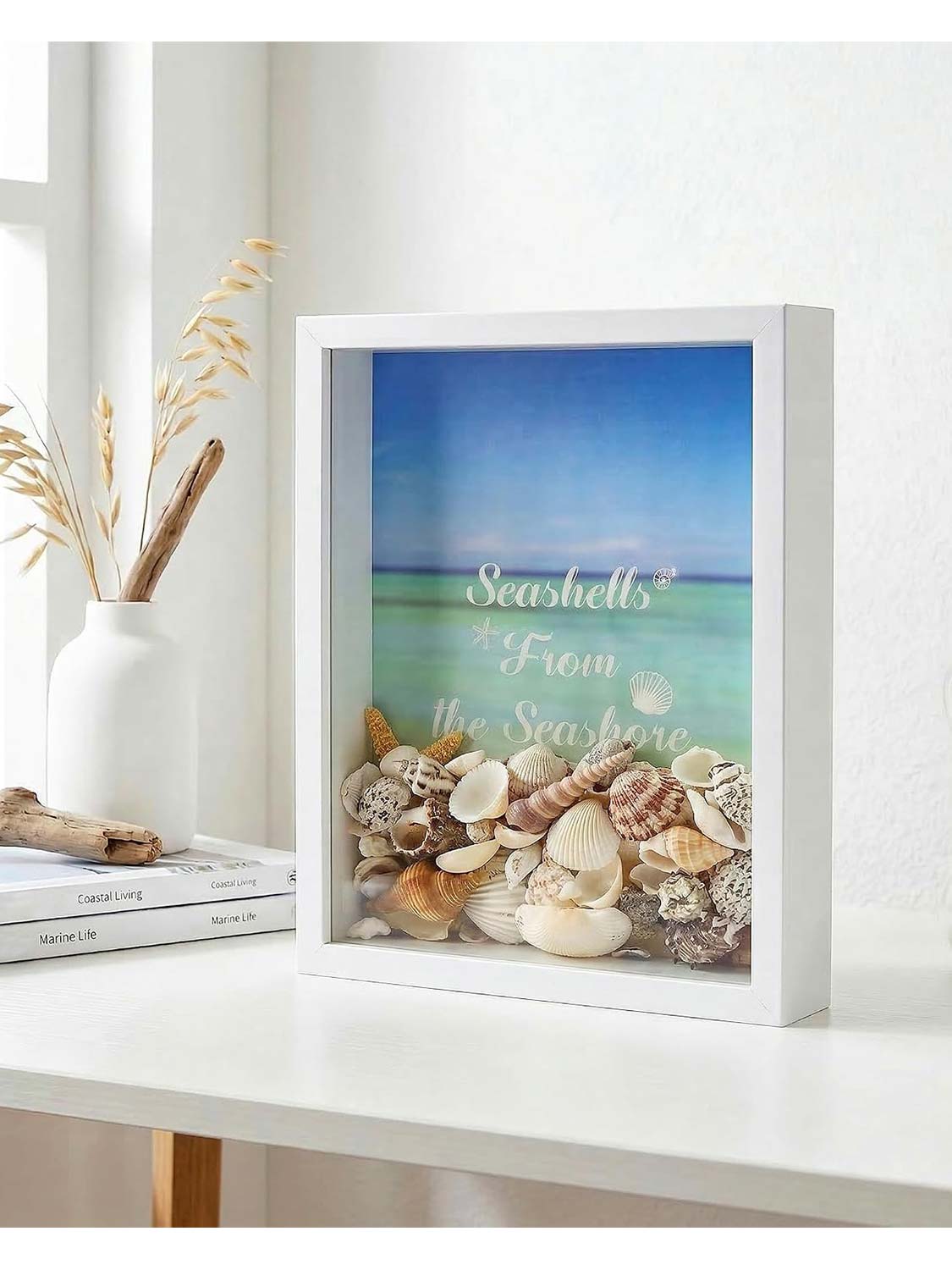 Seashell Display Box No Slot for Agates, Shark Teeth, Starfish & Trinkets - 2 Sizes Available