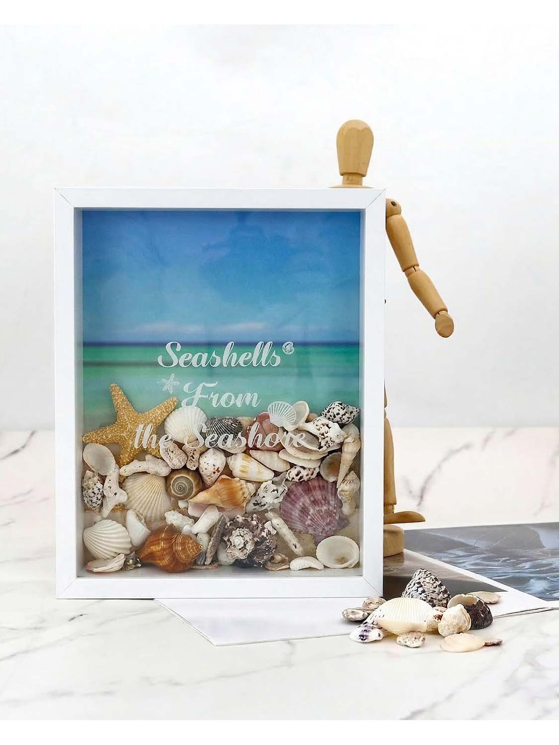 Seashell Display Box No Slot for Agates, Shark Teeth, Starfish & Trinkets - 2 Sizes Available
