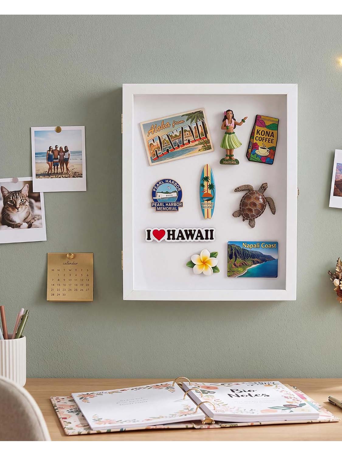 11"x14" Large Travel Magnet Souvenir Display Case Front Open with Real Glass - 2 Colors Available